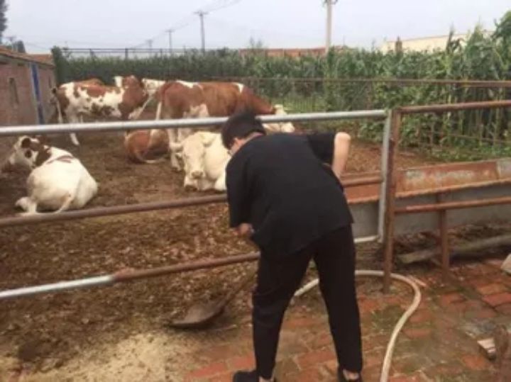 1630045378837742.jpg 640.webp (10).jpg